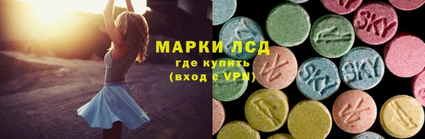 мдпв Каменногорск