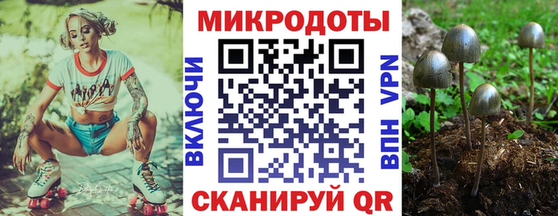 darknet Telegram  Темников  Галлюциногенные грибы мицелий 