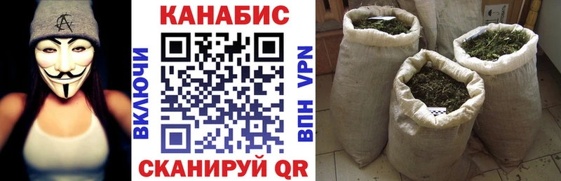 как найти закладки  Темников  Шишки марихуана планчик 